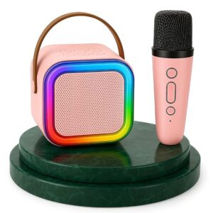 Karaoke Mic